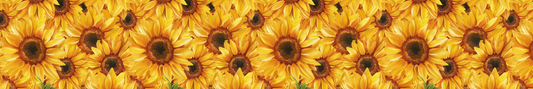 Sunflowers 2