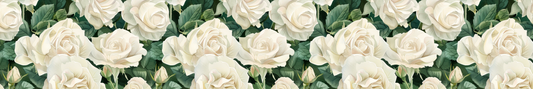 White Roses