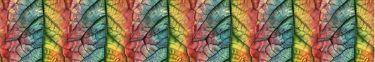 Rainbow Leaf