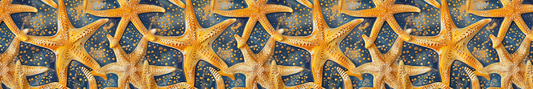 Starfish 4