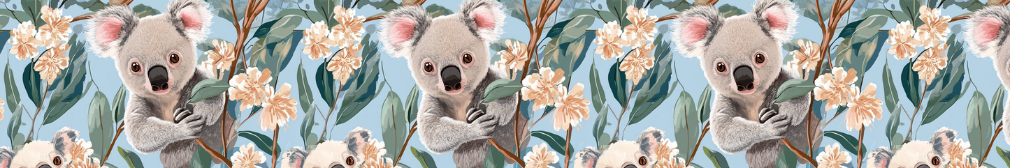 Australia Koala