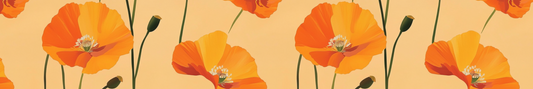 California Orange Poppy Flowers