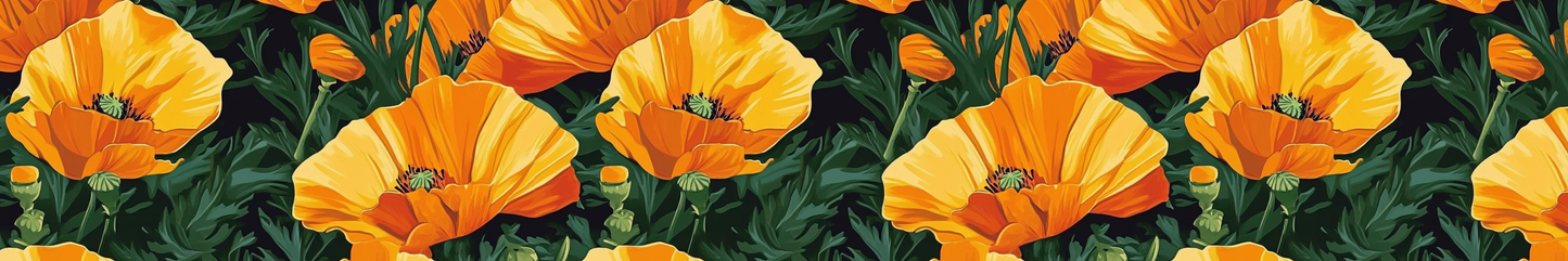 California Orange Poppy Flowers 2