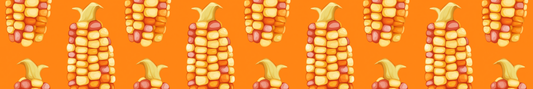 Fall Corncob 2