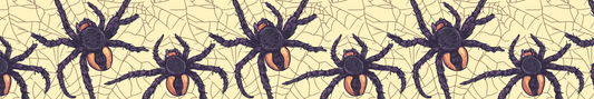 Halloween Spider 8