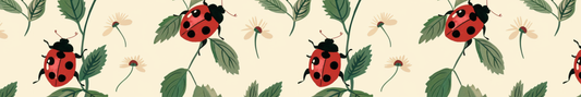 Lady Bug