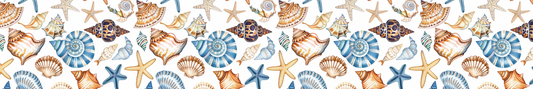 Seashells 2