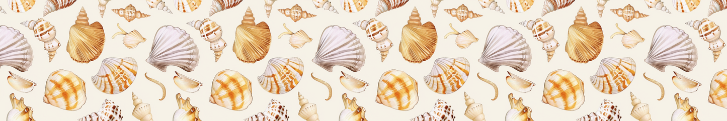 Seashells 3