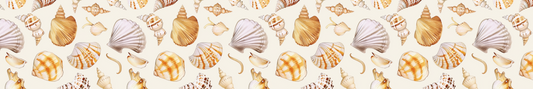 Seashells 3